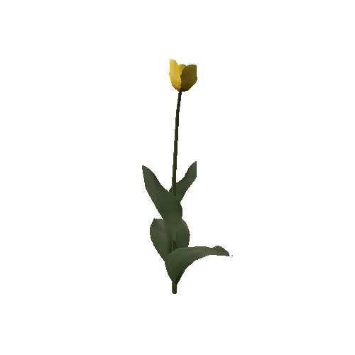 Tulipa3G