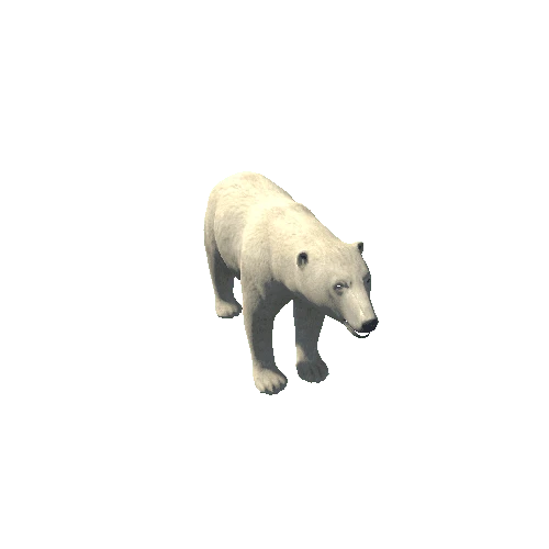 PolarBear_M_GrowMesh