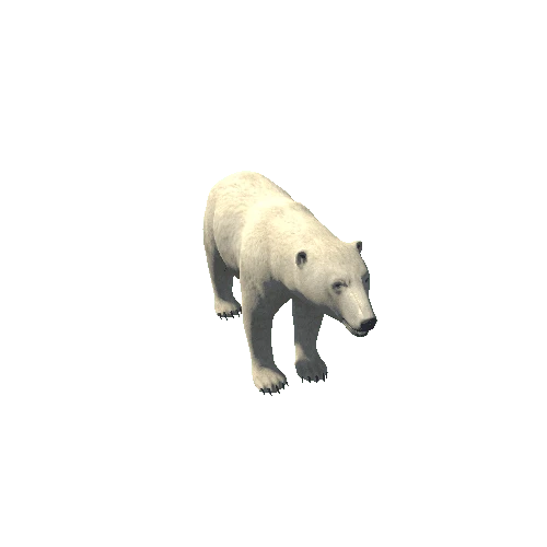 PolarBear_M_Prefab