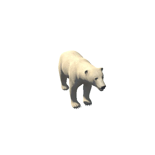 PolarBear_F_Prefab