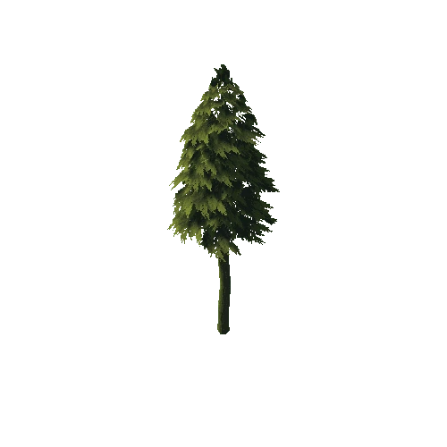 Prefab_ConiferForestPack_Tree_Tree1