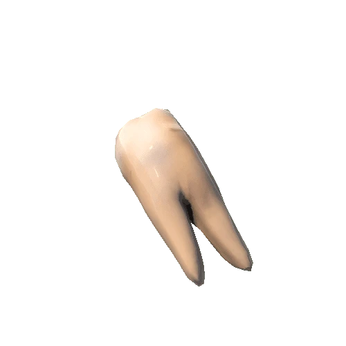 Tooth_Mouth_bottom_5_L