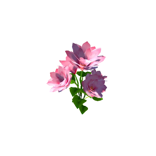 Flower2_5