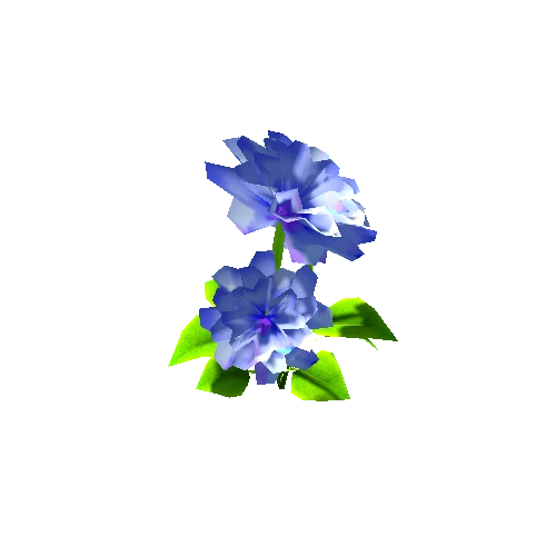 Flower3_5