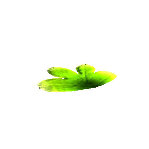 Leaf1