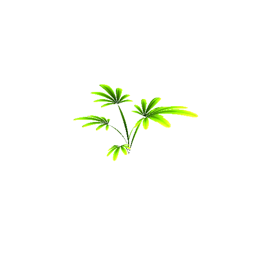 Plant2_3