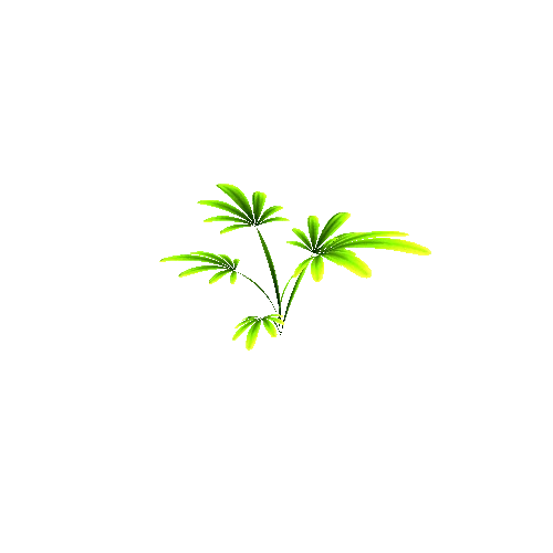 Plant2_4