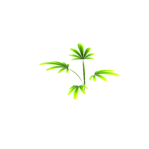 Plant2_5