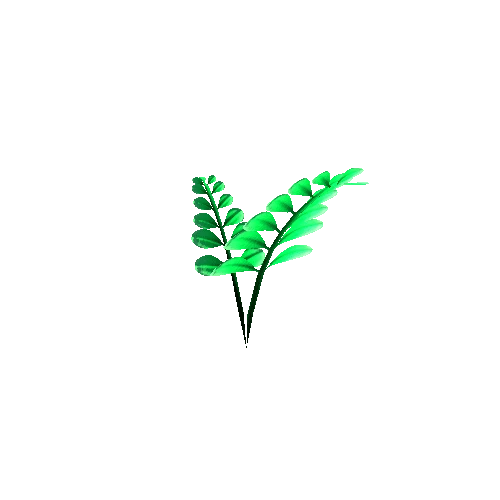 Plant3_2