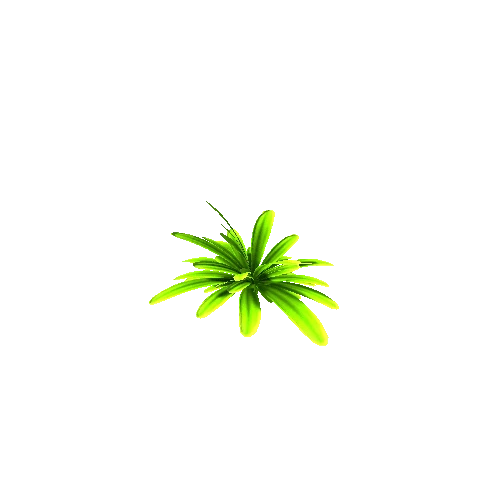 Plant5