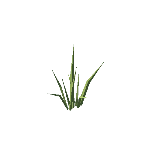 Grass_3