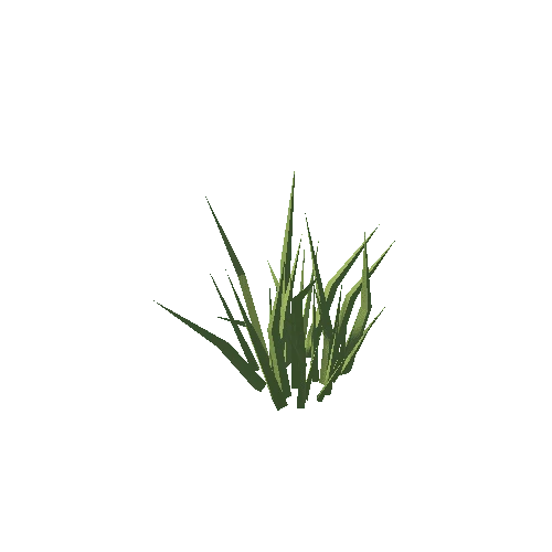 Grass_4