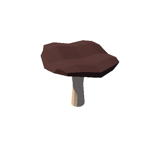 Mushroom_2