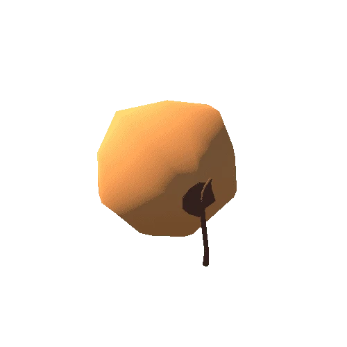 Coconut.004