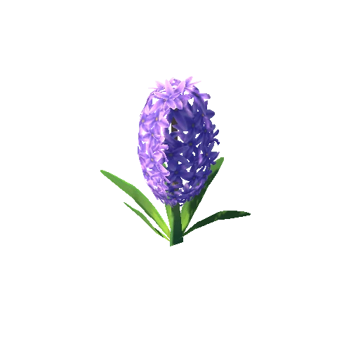 Flower_A_01