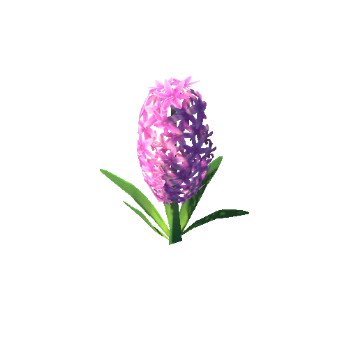 Flower_A_02