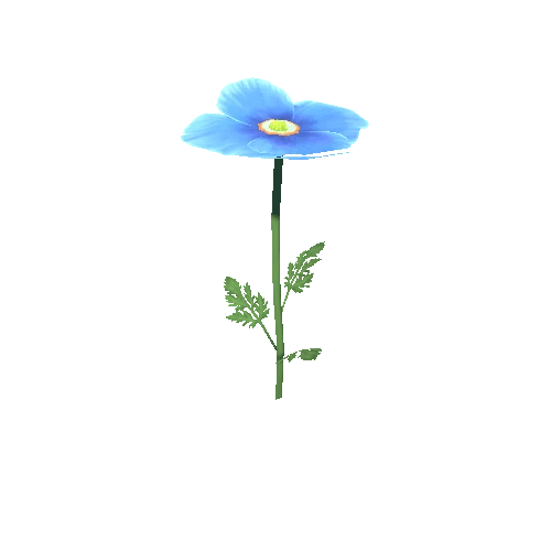 Flower_D_02_01