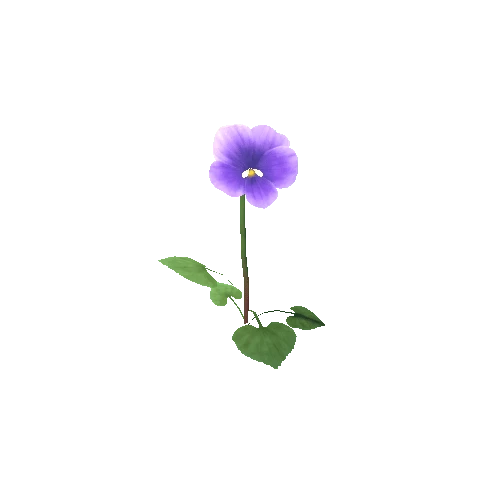 Flower_E_01_01