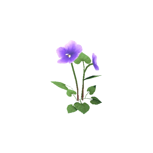 Flower_E_01_02