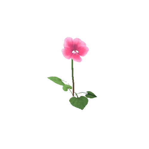 Flower_E_02_01