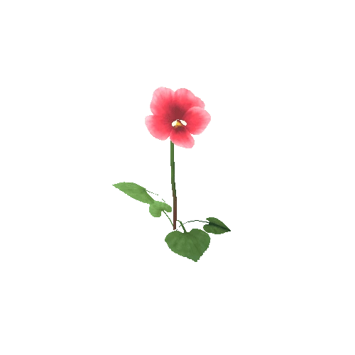 Flower_E_03_01