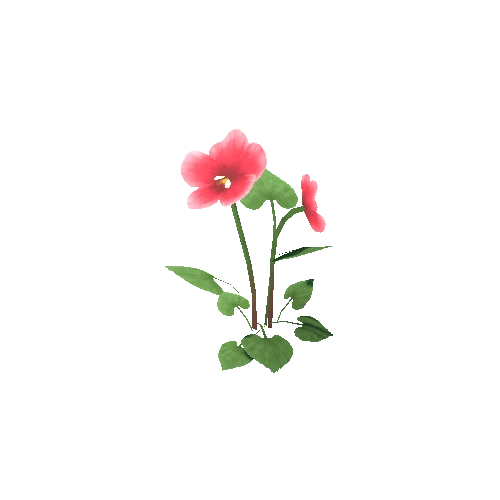 Flower_E_03_02