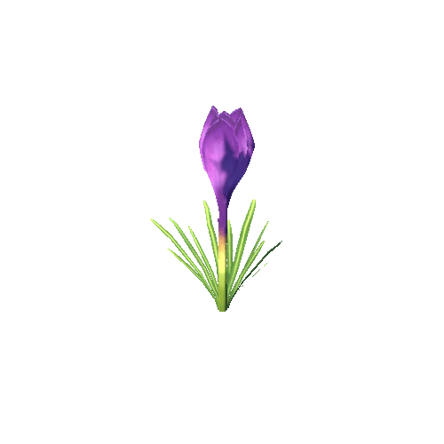 Flower_G_01_01