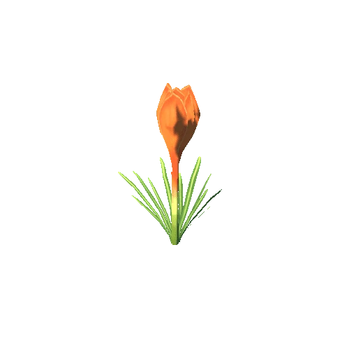 Flower_G_02_01