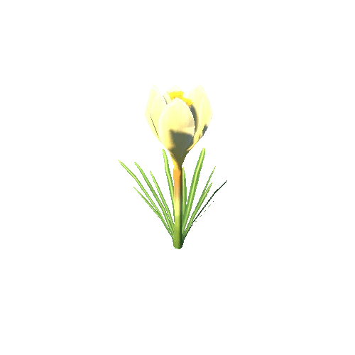 Flower_G_03_02