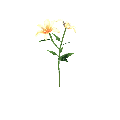 Flower_I_01_02