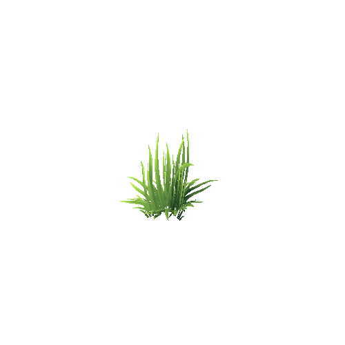 Grass_A_01_05