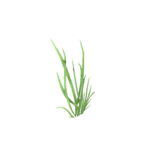 Grass_B_01_01