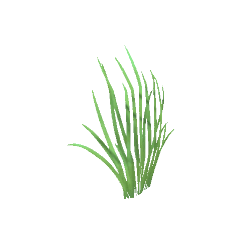 Grass_B_01_03