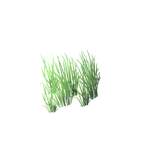 Grass_B_01_05