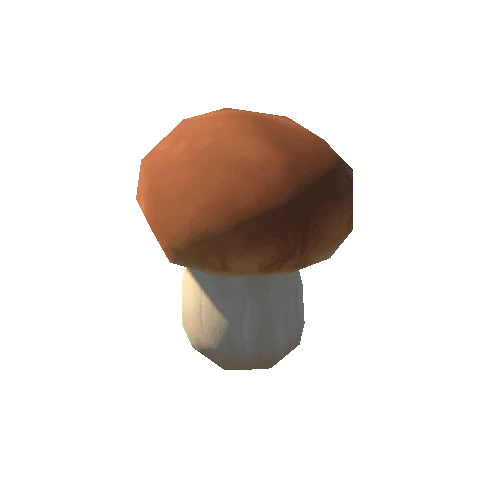 Mushroom_C_01