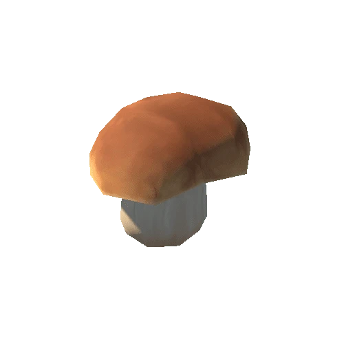 Mushroom_C_02