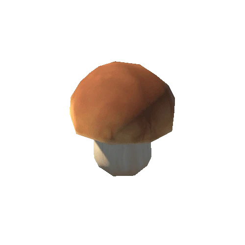 Mushroom_C_03