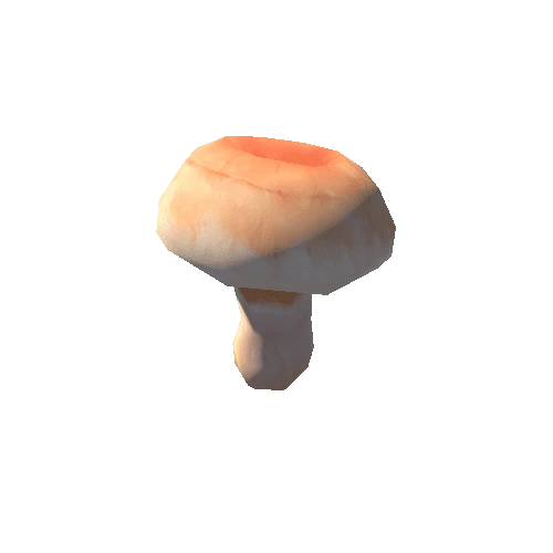 Mushroom_E_01