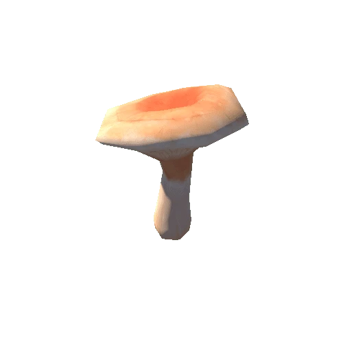 Mushroom_E_02