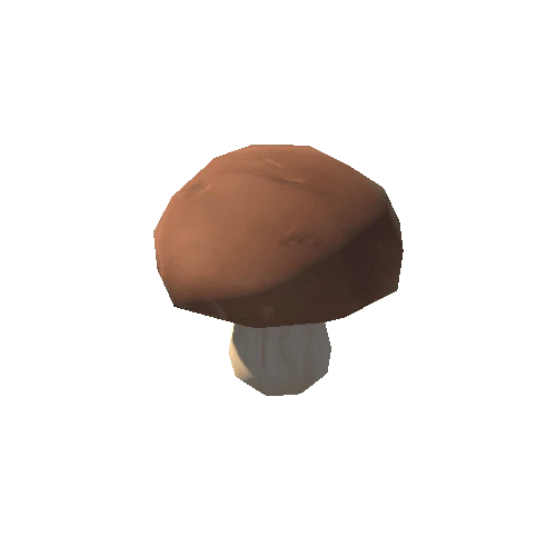 Mushroom_F_03