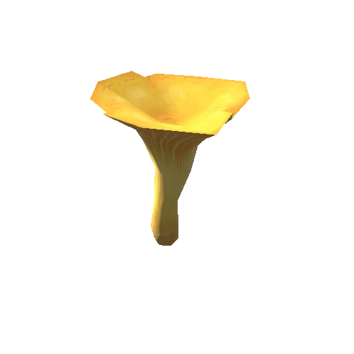 Mushroom_G_01