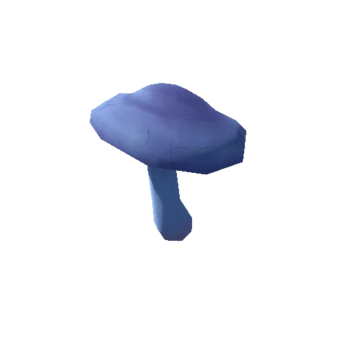 Mushroom_K_03