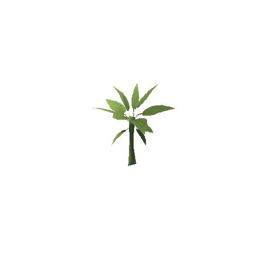 Plant_A_01