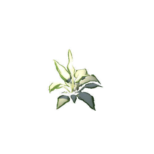 Plant_B_03