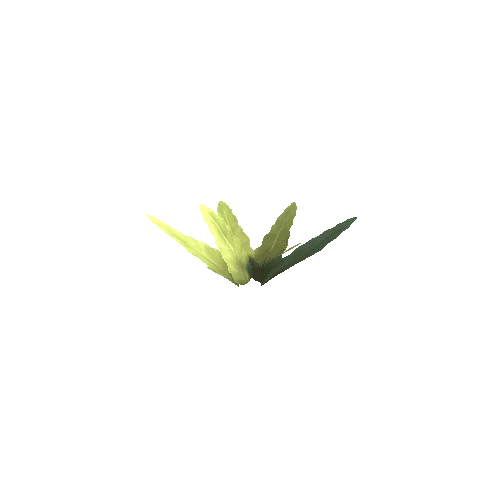 Plant_C_01