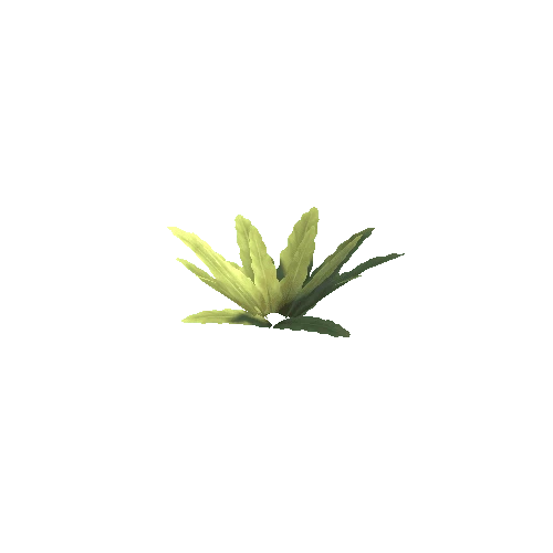 Plant_C_02