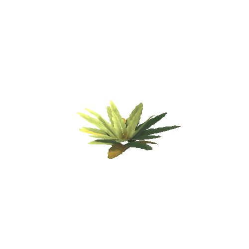 Plant_C_03