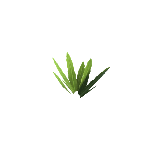 Plant_C_04