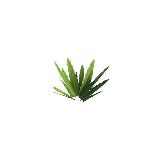 Plant_C_05