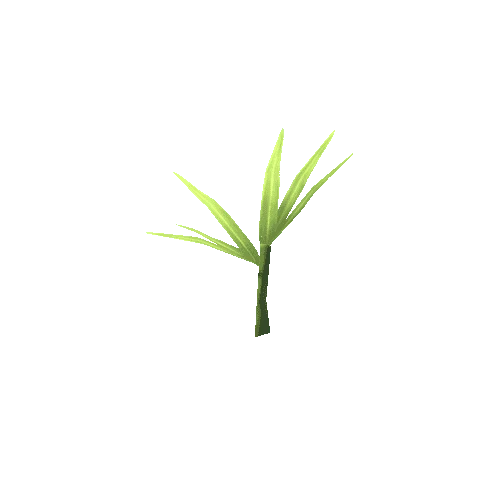 Plant_C_07